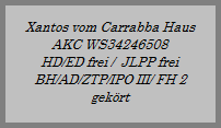 Ives Strtebecker
ZB.-Nr. 089025
HD-frei   ED-frei
BH/AD/ZTP/VPG III
Gek. bis 2000